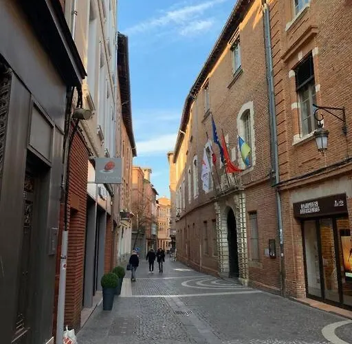 Hyper Centre Proche Cathedrale Albi