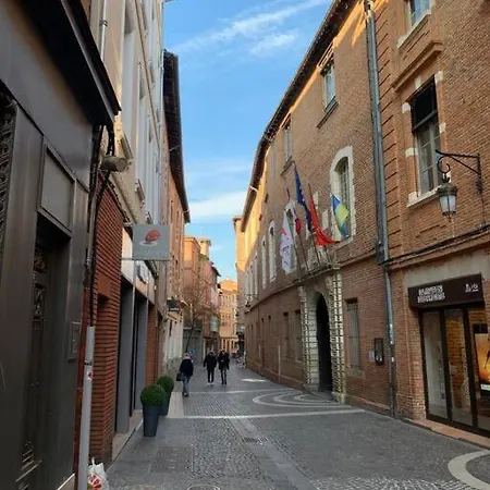 Hyper Centre Proche Cathédrale Albi